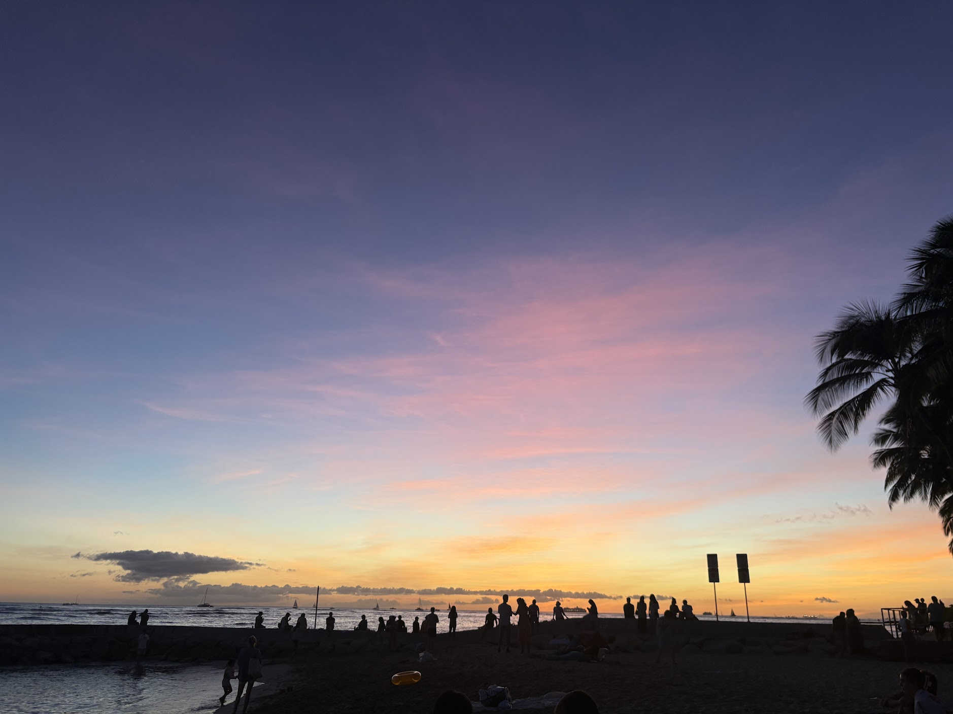 Pastel sunset over the ocean and silhouetted palms in Waikīkī